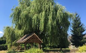 Charmant T2 Rdc Dans Residence Avec Parc Arbore